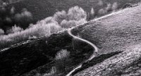 312 - A WINTER WALK - RENDELL ANGELA - united kingdom <div
